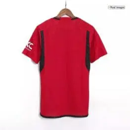 a red shirt on a swinger