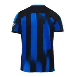 a back of a blue and black striped shirt