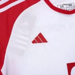 a close up of a shirt