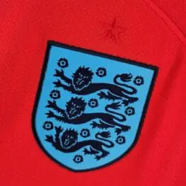 a close up of a logo