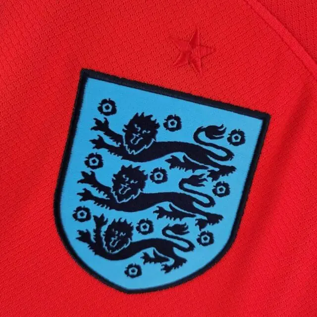 a close up of a logo