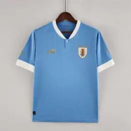 a blue shirt on a swinger