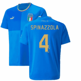 a blue jersey with yellow text and a green stripe