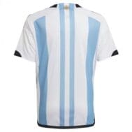 оригинальная футболка сборной аргентины