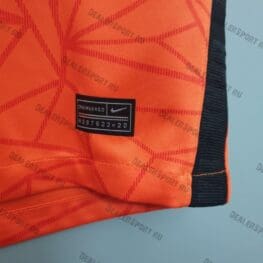 a close up of an orange shorts